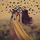 CreativeLive - Fine Art Photography - Brooke Shaden