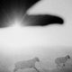 Magnum Photos