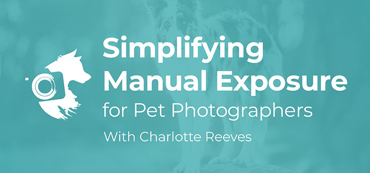 Simplifying Manual Exposure for Pet Photographers