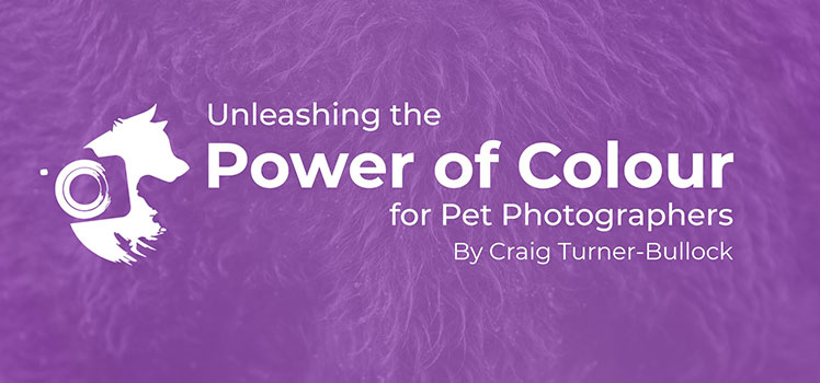 Unleashing the Power of Colour for Pet Photographers